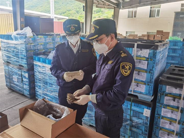 Kanpo merkataritza sustatu egonkortasuna bermatzeko eta kalitatea hobetzeko Ningbo Aduanak 20 